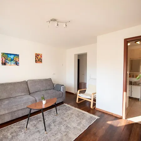 Angelica Вильнюс