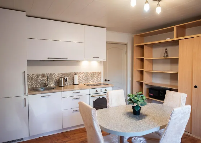 Angelica Вильнюс