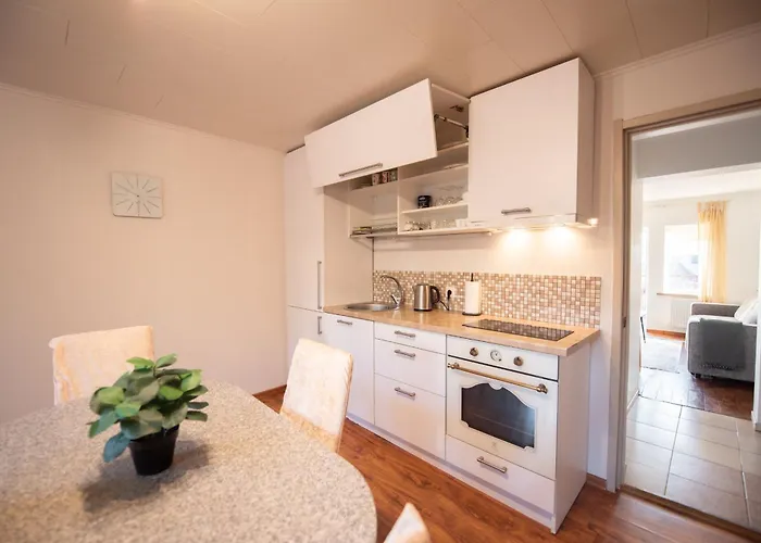 Angelica Вильнюс